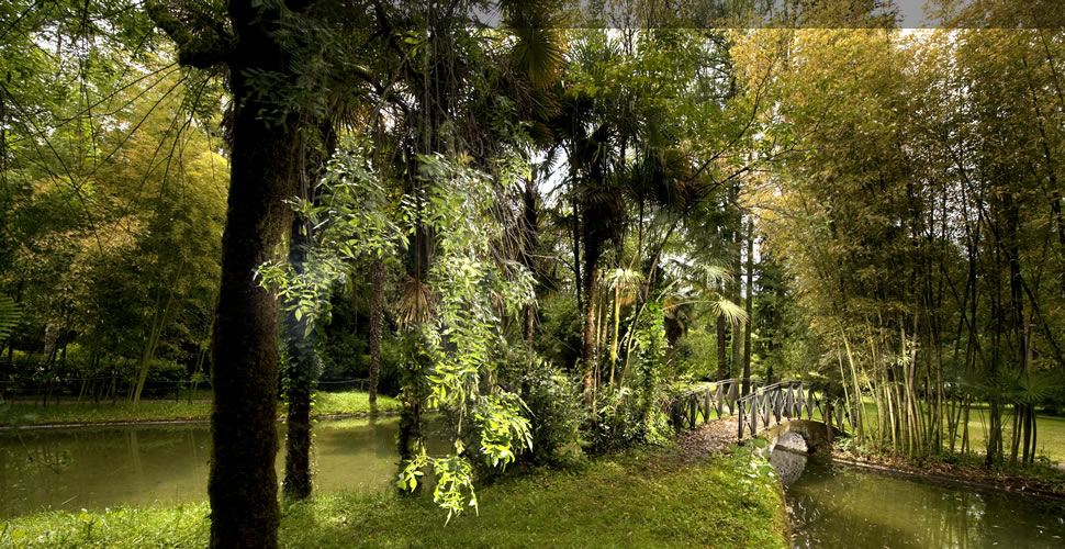 Bertizko Jaurerriko Parke Naturaleko Patronatua
